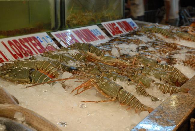DSC_0147_resize.JPG